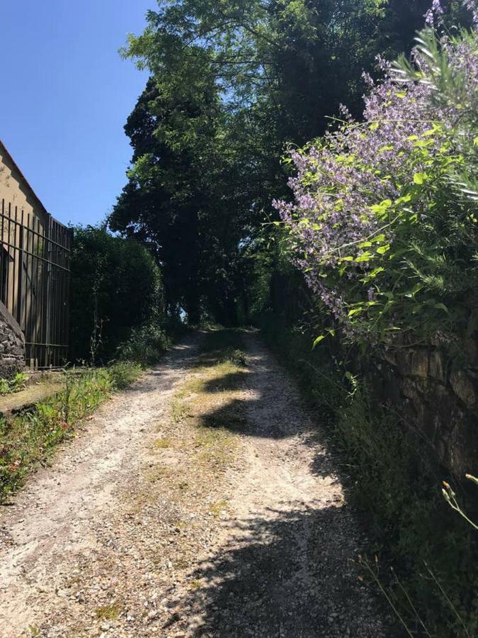 Antica Dimora Di Laura Appartement Barberino di Mugello Buitenkant foto