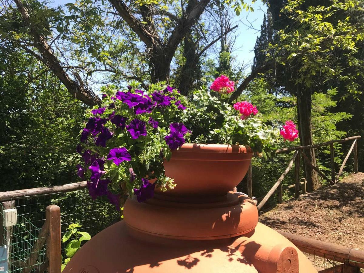 Antica Dimora Di Laura Appartement Barberino di Mugello Buitenkant foto