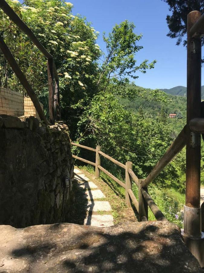 Antica Dimora Di Laura Appartement Barberino di Mugello Buitenkant foto