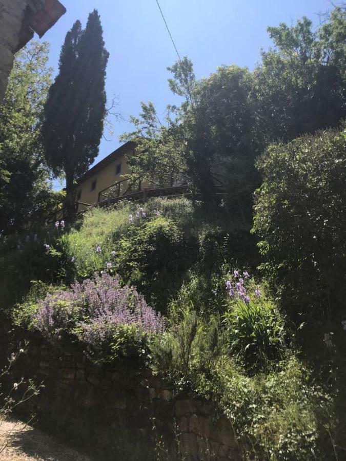 Antica Dimora Di Laura Appartement Barberino di Mugello Buitenkant foto